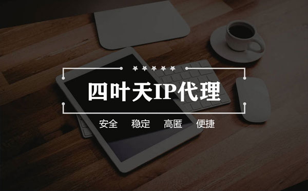 【甘南代理IP】如何快速搭建代理IP？怎么检查代理的效果？